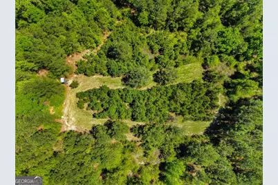 0 Wainwright Road, Butler, GA 31006 - Photo 26