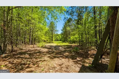 0 Wainwright Road, Butler, GA 31006 - Photo 12