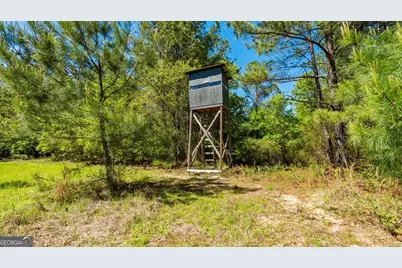 0 Wainwright Road, Butler, GA 31006 - Photo 6