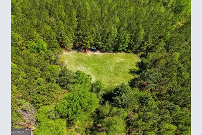 0 Wainwright Road, Butler, GA 31006 - Photo 40