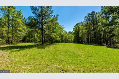 0 Wainwright Road, Butler, GA 31006 - Photo 36