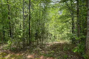 205 White Birch Dr, Covington, GA 30016 - Photo 1