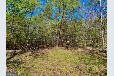 00 Toccoa River Forest, Mineral Bluff, GA 30559 - Photo 24