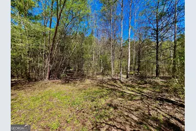 00 Toccoa River Forest, Mineral Bluff, GA 30559 - Photo 16