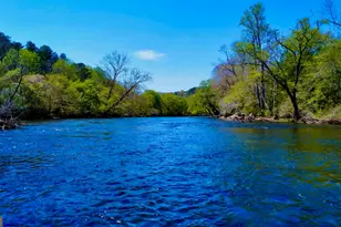 00 Toccoa River Forest, Mineral Bluff, GA 30559 - Photo 1