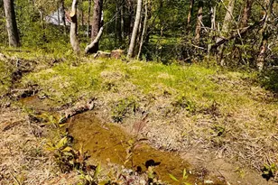 2960 Trackrock Church Rd, Blairsville, GA 30512 - Photo 26