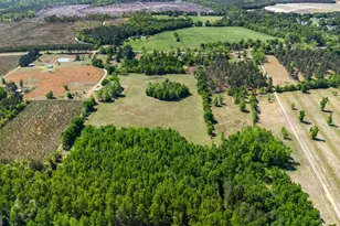 1747 Perkins Green Fork Rd, Millen, GA 30442 - Photo 38