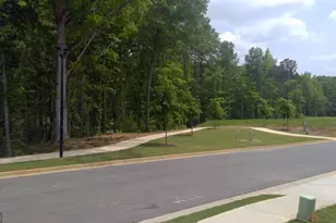 11953 Aukerman Wy, Hampton, GA 30228 - Photo 30