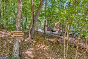 119 Summit St, Ellijay, GA 30540 - Photo 50