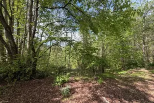 811 Ammons Rd, Waleska, GA 30183 - Photo 14