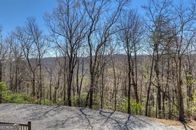 1073 Old Burnt Mountain Road, Ellijay, GA 30536 - Photo 50