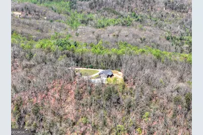 1073 Old Burnt Mountain Road, Ellijay, GA 30536 - Photo 44