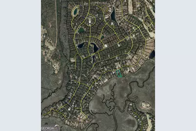 Lot 38 Coopers Point Drive NE, Townsend, GA 31331 - Photo 4