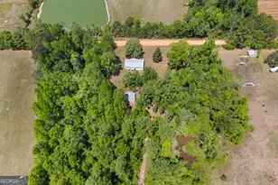 3347 Dickey Rd, Millen, GA 30442 - Photo 28