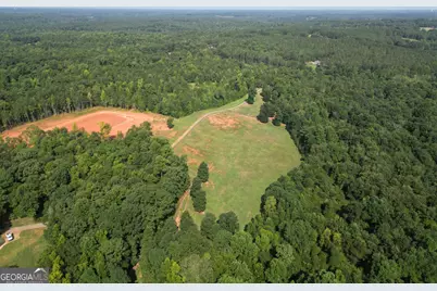 2230 Reese Road #TRACT C, Rutledge, GA 30663 - Photo 6