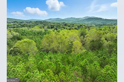 0 Old Pleasant Valley Road, Talking Rock, GA 30175 - Photo 12
