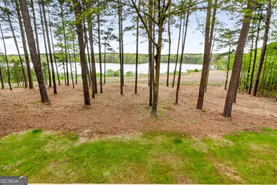 3181 Peeksville Road, Locust Grove, GA 30248 - Photo 6