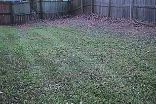 405 Browning Field Way, Hampton, GA 30228 - Photo 6