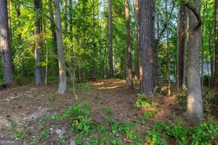 230 Whitney Way, Fayetteville, GA 30214 - Photo 42