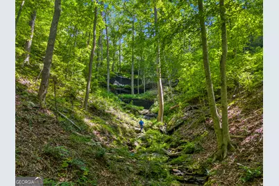 100 Ac Mockingbird Lane, Jasper, GA 30143 - Photo 6