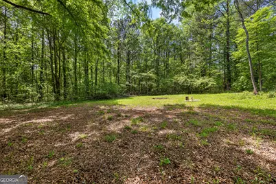1480 Al Roberts Road, Senoia, GA 30276 - Photo 18