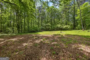 1480 Al Roberts Rd, Senoia, GA 30276 - Photo 18