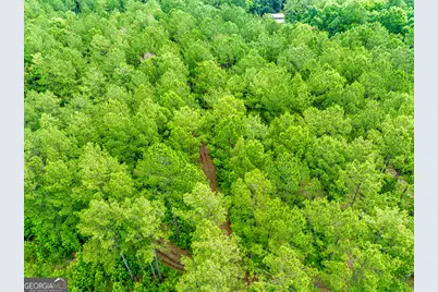 3385 Ga Highway 83 S, Monticello, GA 31064 - Photo 56
