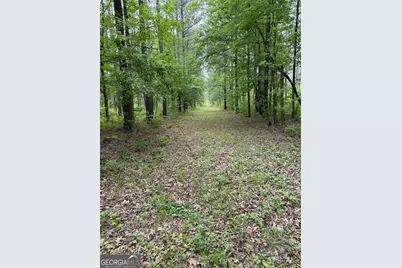 3385 Ga Highway 83 S, Monticello, GA 31064 - Photo 12