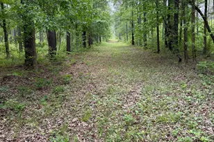 3385 Ga Hwy 83 S, Monticello, GA 31064 - Photo 12