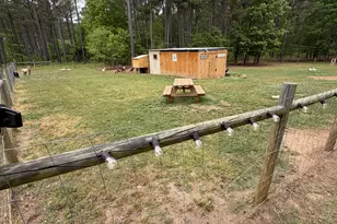 3385 Ga Hwy 83 S, Monticello, GA 31064 - Photo 22