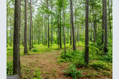 3385 Ga Highway 83 S, Monticello, GA 31064 - Photo 54