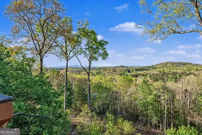431 Sunrock Mountain Road, Blue Ridge, GA 30513 - Photo 52