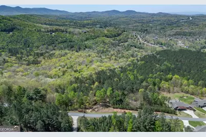 Lot 253 The Cove @ 1300, Blairsville, GA 30512 - Photo 50