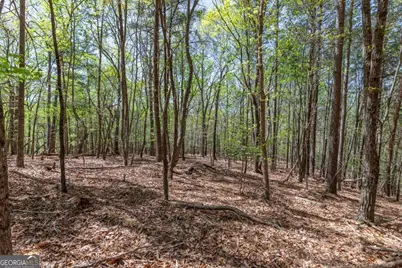 Lot 253 The Cove @ 1300, Blairsville, GA 30512 - Photo 20