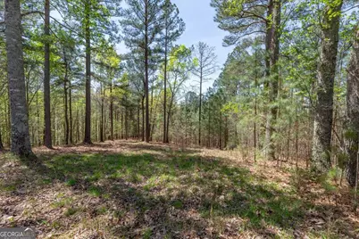Lot 253 The Cove @ 1300, Blairsville, GA 30512 - Photo 12