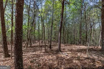 Lot 253 The Cove @ 1300, Blairsville, GA 30512 - Photo 24