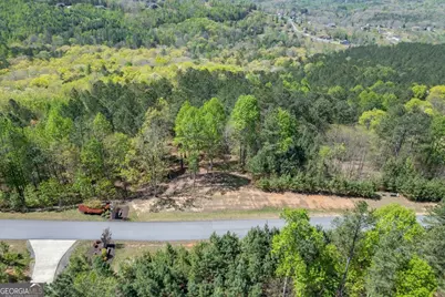 Lot 253 The Cove @ 1300, Blairsville, GA 30512 - Photo 30