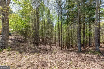 Lot 253 The Cove @ 1300, Blairsville, GA 30512 - Photo 10