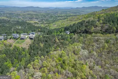 Lot 253 The Cove @ 1300, Blairsville, GA 30512 - Photo 52