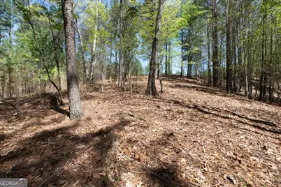 Lot 253 The Cove @ 1300, Blairsville, GA 30512 - Photo 18