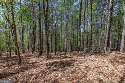 Lot 253 The Cove @ 1300, Blairsville, GA 30512 - Photo 22