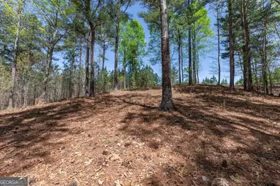 Lot 253 The Cove @ 1300, Blairsville, GA 30512 - Photo 16