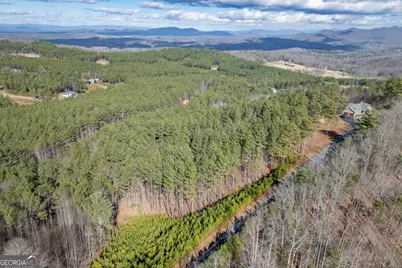 Lot 253 The Cove @ 1300, Blairsville, GA 30512 - Photo 54
