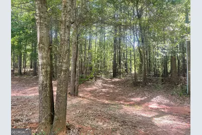 0 Fincher Road, Covington, GA 30016 - Photo 2