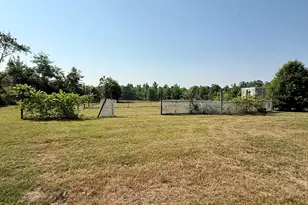 3856 Ga Hwy 231, Harrison, GA 31035 - Photo 10