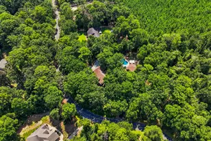 660 Hatchee Ridge Rd, Dublin, GA 31021 - Photo 68