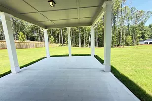 46 Tea House Ln, Newnan, GA 30263 - Photo 26