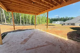 46 Tea House Ln, Newnan, GA 30263 - Photo 6
