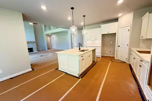46 Tea House Ln, Newnan, GA 30263 - Photo 12