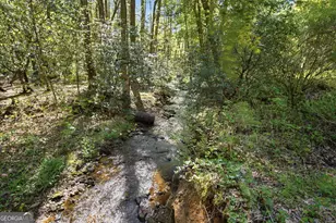 15 Salmon Rd, Blairsville, GA 30512 - Photo 40